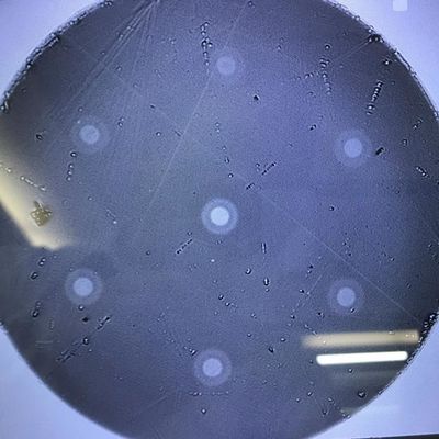 Mehradriges Hexagon der wissenschaftliche Forschungs-Produkte 6 aus optischen Fasern vereinbarte